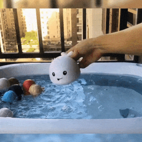 WhaleToy